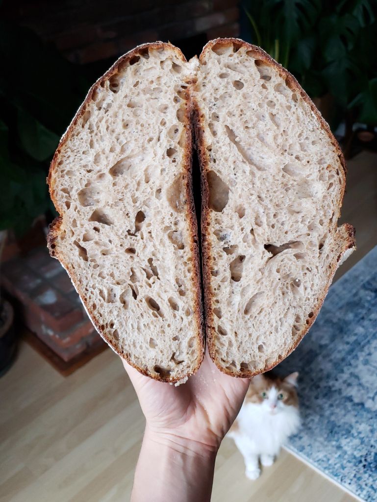 Simple No-Knead Sourdough Bread Recipe (14) Simple No-Knead Sourdough Bread Recipe (14)