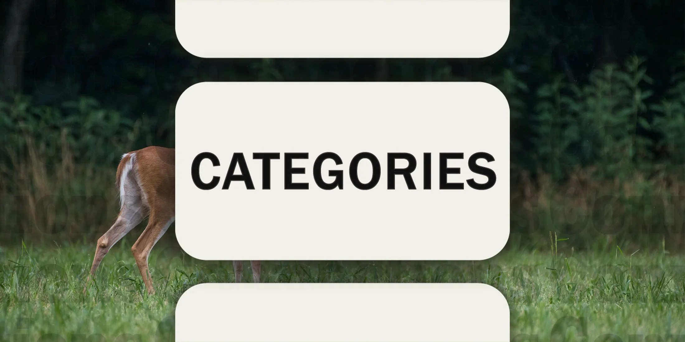 Today's Connections Hints & Answers For October 10, 2024 (Puzzle #486) (1)