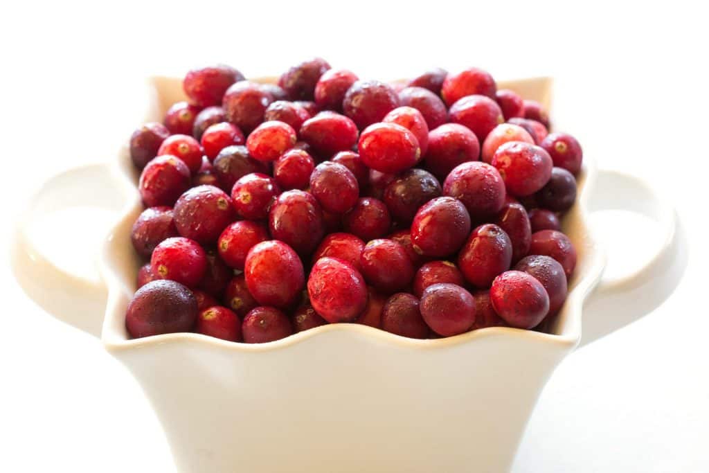Cranberry Salsa Recipe - The Girl Who Ate Everything (2) Cranberry Salsa Recipe - The Girl Who Ate Everything (2)