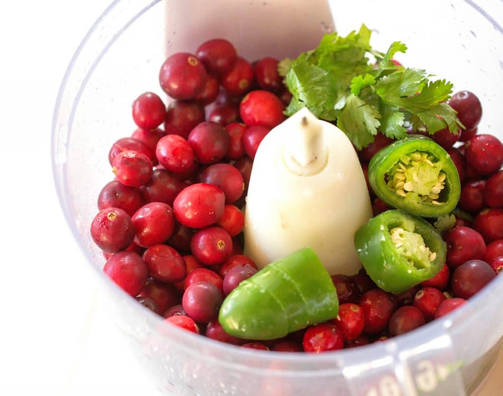 Cranberry Salsa Recipe - The Girl Who Ate Everything (3) Cranberry Salsa Recipe - The Girl Who Ate Everything (3)