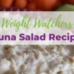 Top 10 WW Meal Prep Lunch Recipes (Low in Points) The Holy Mess (15)
