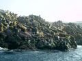 Posada_Hispana Hotel - Tours