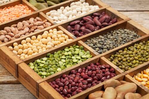 Plant Based Diet Meal Plan For Beginners: 21 Days of Whole Food Recipes (10)
